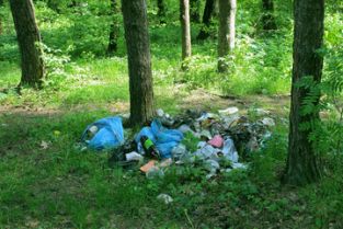 утилизация мусора цена в Болохово